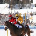 CH White Turf St Moritz - Flachrennen 8209