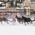 CH White Turf St Moritz - Skijoering 8307