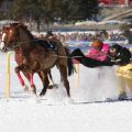 CH White Turf St Moritz - Skijoering 8324