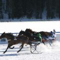 CH White Turf St Moritz - Trabrennen 0659