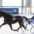 CH White Turf St Moritz - Trabrennen 8370