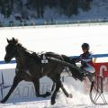 CH White Turf St Moritz - Trabrennen 8437