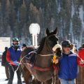 CH White Turf St Moritz - nach dem Skij?g 0629