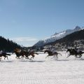 CH White Turf St Moritz 0549