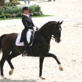 Anky van Grunsven - Salinero - CHIO Aachen 07