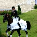 Isabell Werth - Satchmo - Gold Ehrenrunde WEG Aachen