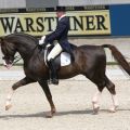 Jan Brink - Briar - Aachen 2 05-06