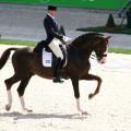 Jan Brink - Briar - CHIO Aachen 07 1