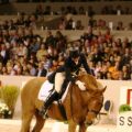 Monica Theodorescu - Whisper Lob - Indoor Brabant 2167