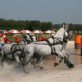 Deauville - Fahren - Benjamin Aillaud FRA 6921