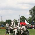 Jozsef Dobrovitz HUN - CHIO Aachen 07