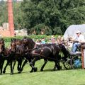 Tucker Johnson USA - WEG Aachen