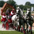 Zoltan Lazar HUN 1 - CHIO Aachen 07