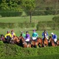 Jagdrennen vor Start - Krefeld 04-07