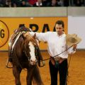 Aaron Ralston USA - Smart Paul Olena 1 - WEG Aachen