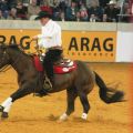 Duane Latimer CAN - Hang Ten Surprize 2 - WEG Aachen