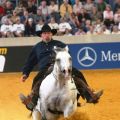 Eric Laporte FRA - Leanin Rooster - WEG Aachen