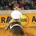 Tim McQuay USA - Mister Nicadual 3 - WEG Aachen