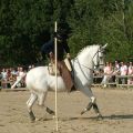 Feria - Krümmel mit Garrocha - Ratingen 09-05