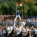 Hengstparade Dillenburg - Pyramide - D6475