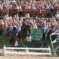 Hengstparade Dillenburg - Reifenspringen 4478