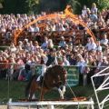 Hengstparade Dillenburg - Reifenspringen Feuer 4486