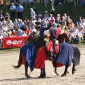 Hengstparade Dillenburg - Ritterspiele 4392