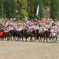 Hengstparade Dillenburg - Zehnerzug 4604