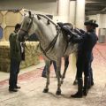 Palais Omnisport - Ignacio Ramblas - Preparations 5729