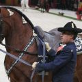 Palais Omnisport - Schulhengst Real Escuela Jerez 5446