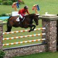 Meredith Michaels-Beerbaum - Shutterfly  1 - WEG Aachen