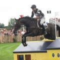 Andrew Nicholson NZL - Lord Killinghurst - WEG Aachen